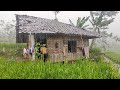 Heavy rain in a beautiful rice field village. Heavy rain atmosphere. Adding Susana feels more serene