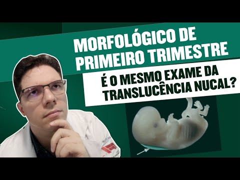 ULTRASSOM MORFOLOGICO DE PRIMEIRO TRIMESTRE É O MESMO EXAME DA TRANSLUCÊNCIA NUCAL?