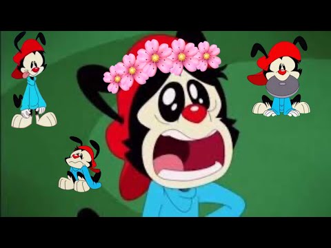 Wakko being a “good boi” for almost 3 minutes