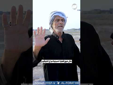 شاهد بالفيديو.. مثل هيج فطرة حسينية مراح تشوفون
