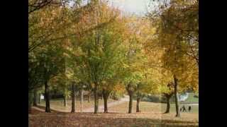 preview picture of video 'Autumn at Fairlands Valley Park, Stevenage'