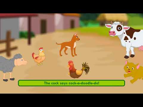 Bow- Wow, Meow- Meow