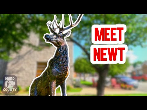 Meet Newt the Elk in Jasper Arkansas | Creativity in the South & Ozark life