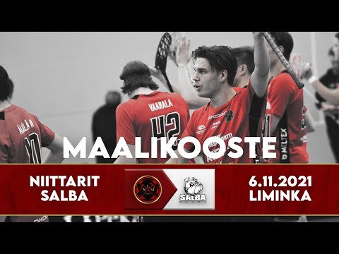 Maalikooste LNM - SALBA 6.11.2021