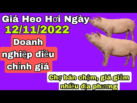 , title : 'Giá Heo 🐖 ( lợn) Hơi Mới Nhất ngày12/12/2022 || Doanh Nghiệp hạ giá bán chợ đầu mối giảm theo'