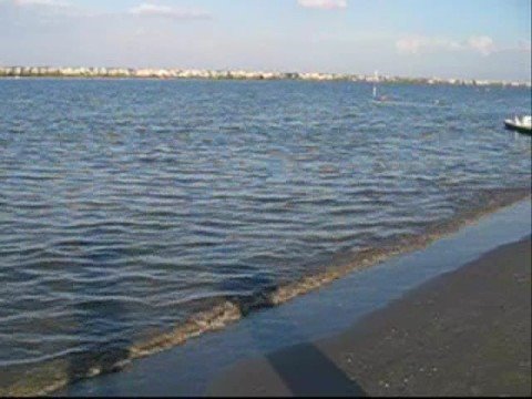 Bellaria Estate 2008