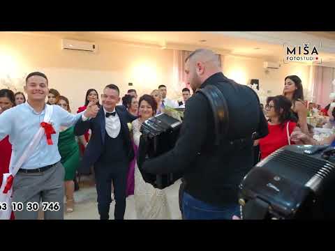 Veselo svadbarsko kolo-Orkestar Mladena Spasojevica"Panteri"Požarevac 2024