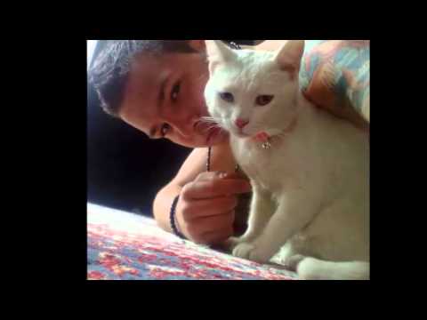 Duka & Dalibor - 5 Minuta