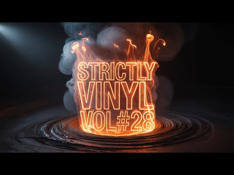 DanceHall Riddim MiX Strictly Vinyl Vol#28