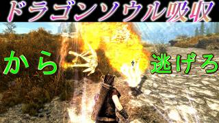 ”ドラゴンソウル吸収”から逃げ切ってみた【スカイリム】The Elder Scrolls V: Skyrim