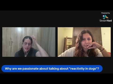 Reactivity in Dogs