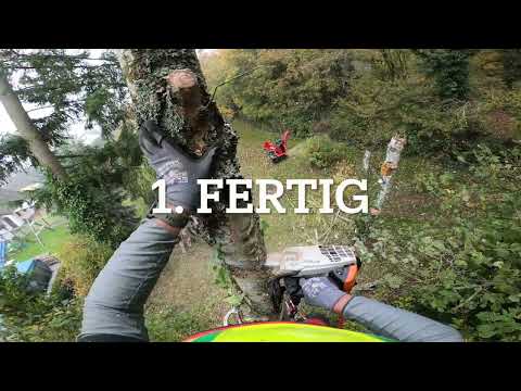 4 Bäume, 2 Personen, ein Tag  Steigeisen SKT