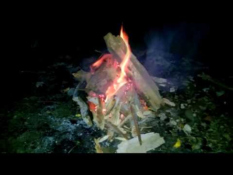 Arturs Nīmanis - Prauli