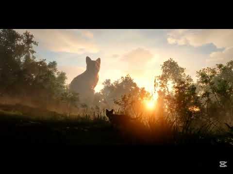 Pelicula Flow (parte1)