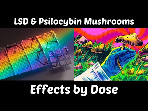 LSD vs Psilocybin Mushrooms: Effects by Dose