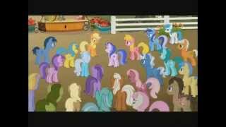 PMV Trailer - My little Madagascar