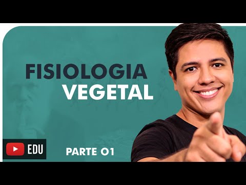 FISIOLOGIA VEGETAL - XILEMA E FLOEMA - BOTÂNICA: TRANSPORTE DE SEIVA - Prof. Kennedy Ramos
