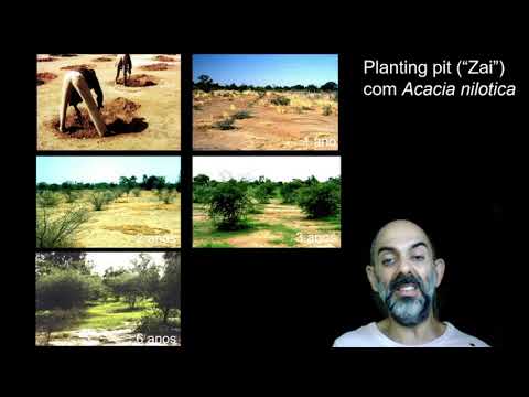Agroecologia, aula 1. Algumas justificativas para a Agroecologia.
