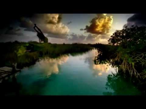 Colours - Armin Van Buuren Ft Emma Hewwit