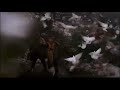 Home Alone 2 Lost In New York 1992 Pigeon Attack