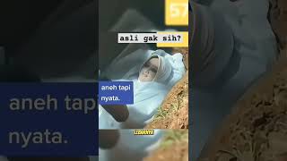 Download lagu mayat ini tersenyum saat di makamkan #shortvideo #fyp #mayat mp3