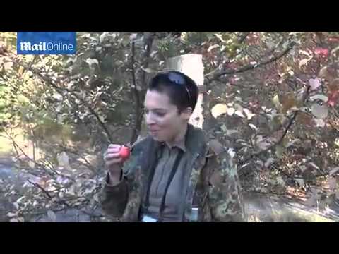 Bionerd eats radioactive apples in...