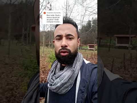 Pêra rocha também produz no Brasil? #plantas #pera #perarocha