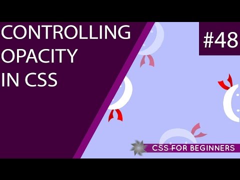 CSS Tutorial For Beginners 48 - Opacity