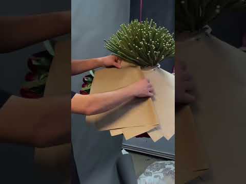 3 ноября 2024 г.