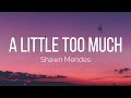 Shawn Mendes - A Little Too Much (Lyrics)