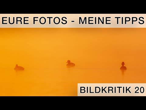 What could YOU improve about your photos? Image critique 20