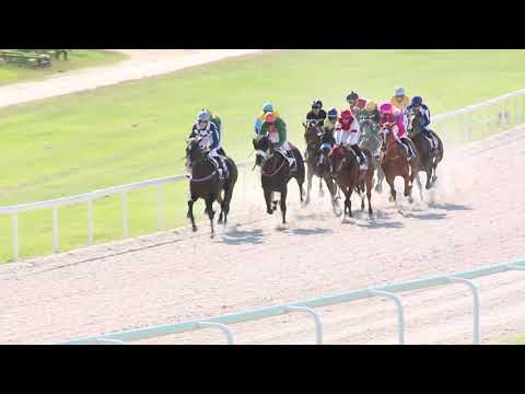 2021.06.13. 06. futam - MOKARRIS HENDIKEP (V/b.) (szintetikus pálya)