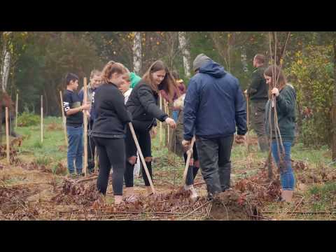 Zalaegerszeg a klímavédelemért