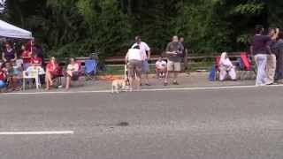 preview picture of video 'Dale City Virginia 4th of July Parade 009'