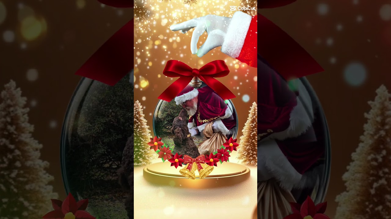 Promotional video thumbnail 1 for Rocking Rick St. Nick of the South