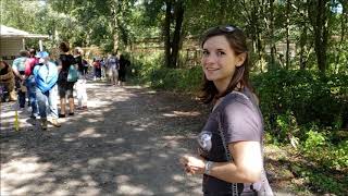 Wildcat Walkabout 2018 at Big Cat Rescue