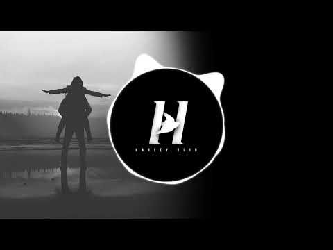 chenda x klon x harley bird - carry you