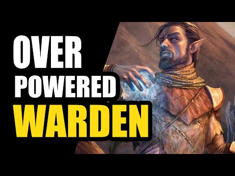 This Is INCREDIBLE! ❄️ Overpowered HYBRID Warden Bow / Frost Staff Build - WINTER'S REVENGE
