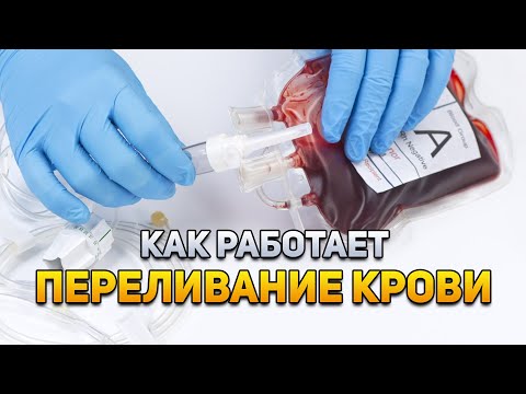 Как работает переливание крови | Plushkin