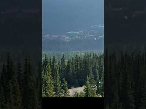 DENALI PARK AIRPORT ALASKA 2024 #aviation #aeroplane #runway #airstrip #gravel #aircraft #alaska #AK