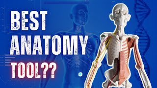 How to Study Anatomy with this Unique Tool - ANATOMY IN CLAY® Learning System
