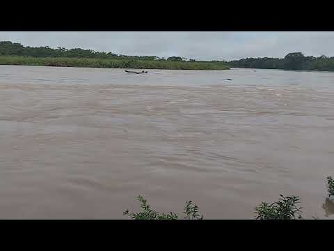 URGENTE: Desbordamiento de la Quebrada Singuiya y Crecida Máxima del Río Putumayo (30/OCT/2025)