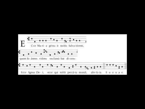 ECCE MARIA GENUIT- CORO LICEO LUSSANA