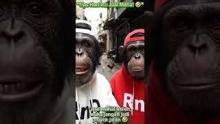Download lagu 'Ketawa Ngejek di Gang Sempit 🤭🐒' #monyet #katakata#viral #fyp #trending mp3