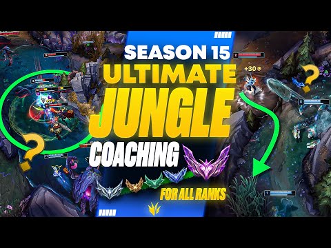 How To ACTUALLY Climb To Master In 3 Hours With ANY Jungler! (Coaching For Each Rank In Season 15)