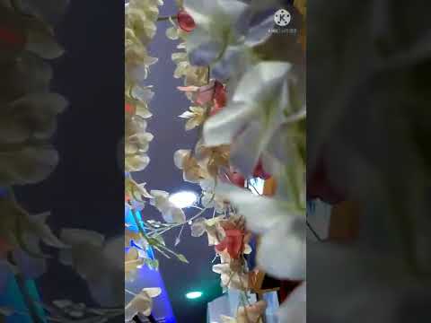 Wonderful flowers 😍#shorts #wonderful #flowers