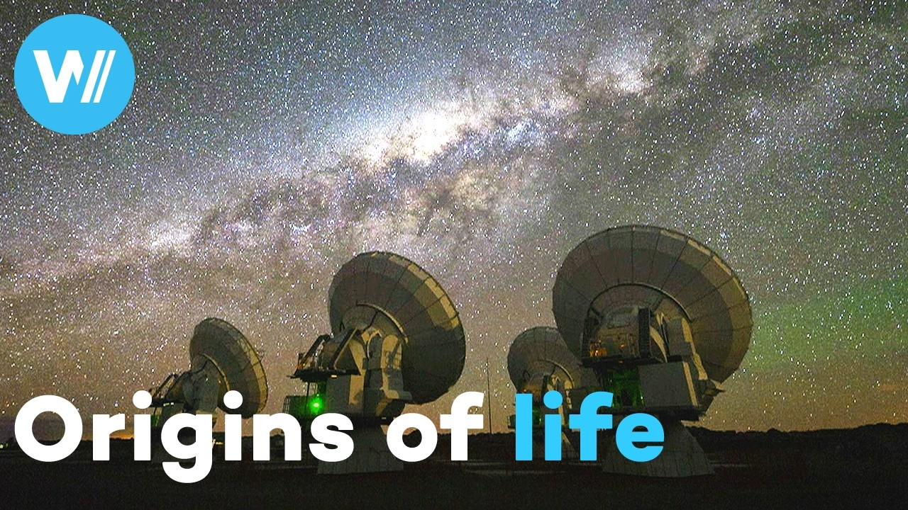 Unravelling the mysteries of the origins of life with the Rosetta probe's landing on a comet