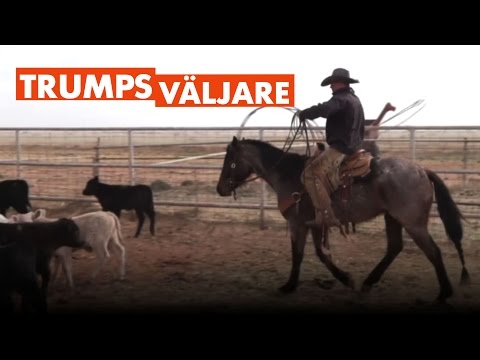 Väljarna som ger sitt stöd till Trump