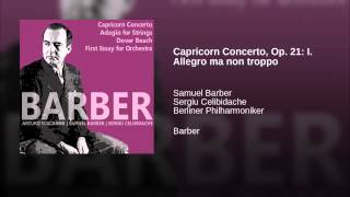 Capricorn Concerto, Op. 21: I. Allegro ma non troppo