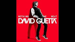 David Guetta- Nothing Really Matters